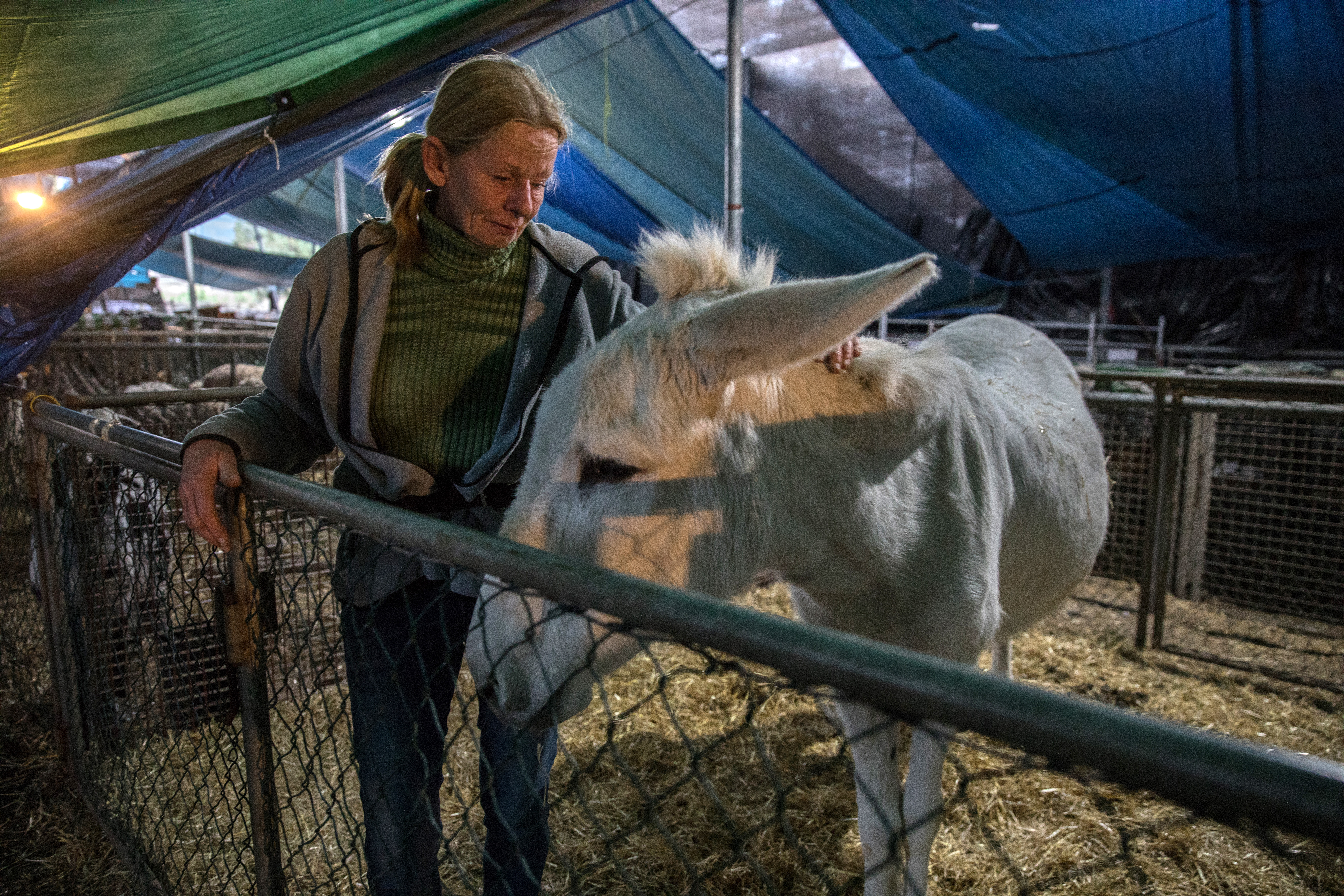 Cumbre_Vieja_x_EvaParey_013